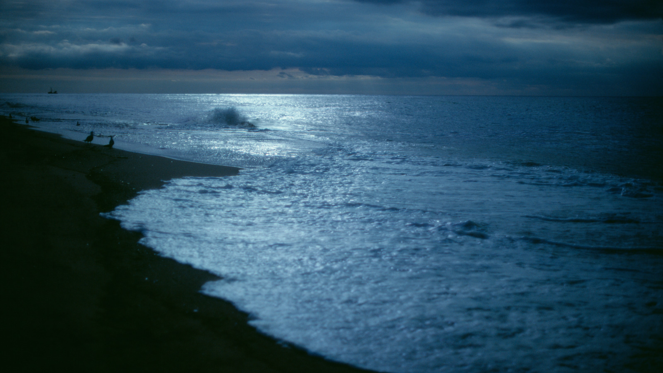 walking-the-beach-at-dark